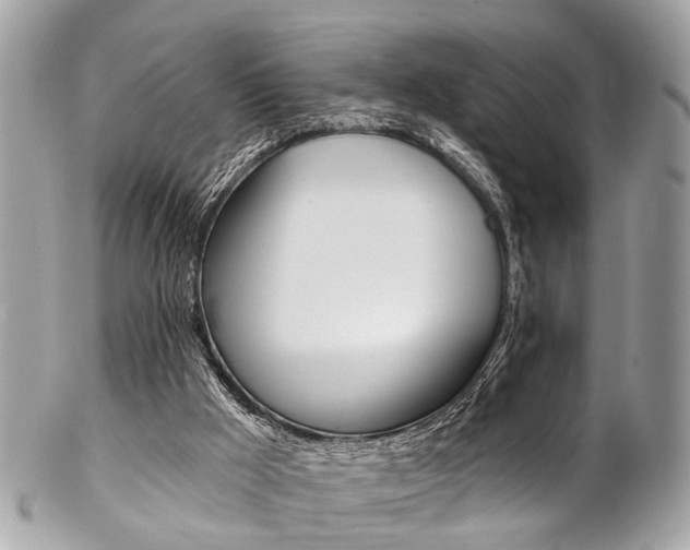 X0000102850009200808181057