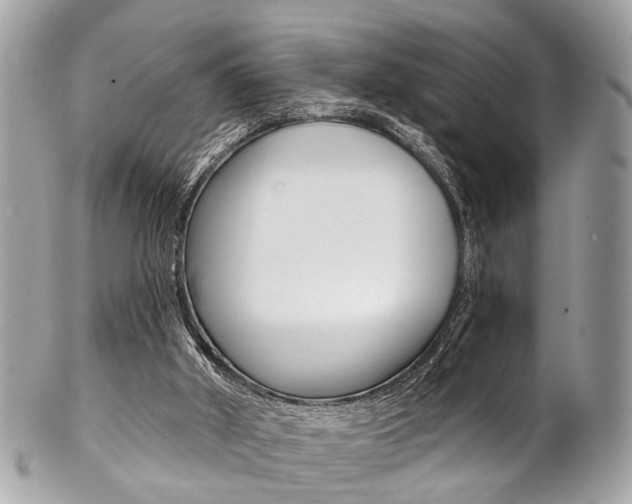 X0000102850010200808181057