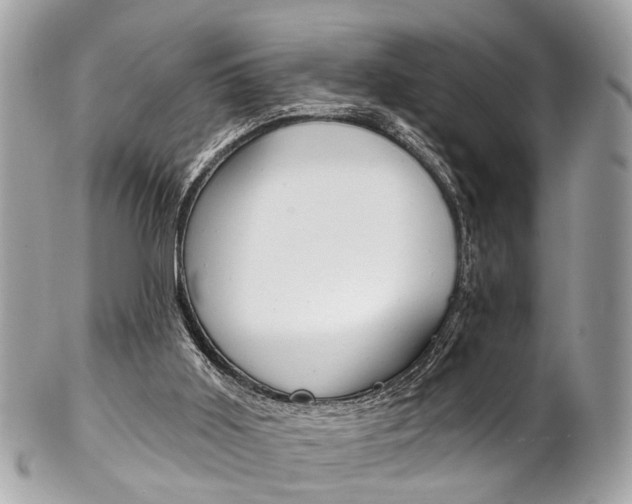 X0000102850011200808181057