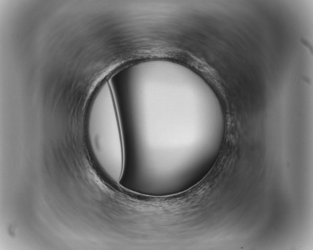 X0000102850012200808181057