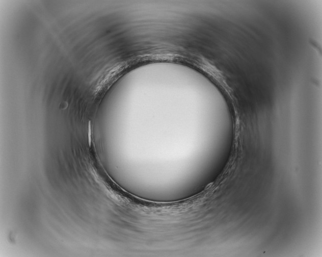 X0000102850013200808181057