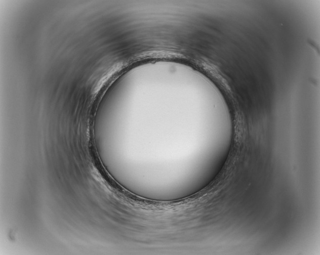 X0000102850015200808181057