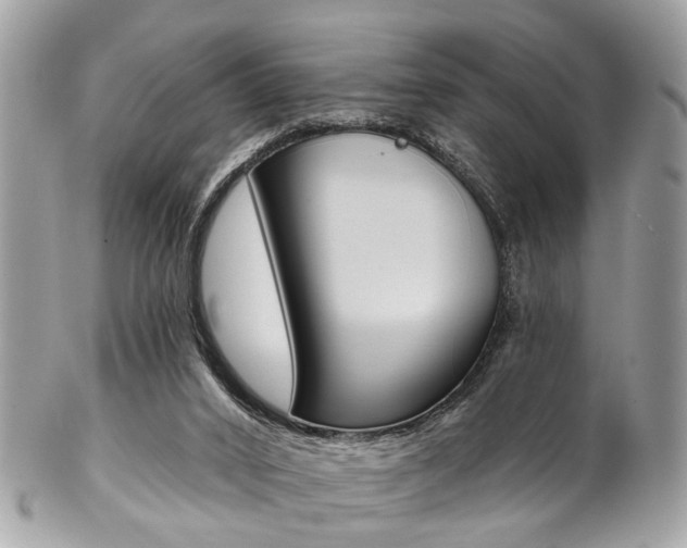 X0000102850016200808181057