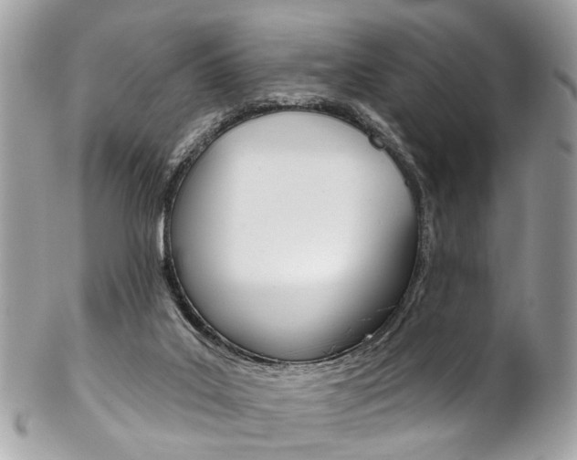 X0000102850019200808181057