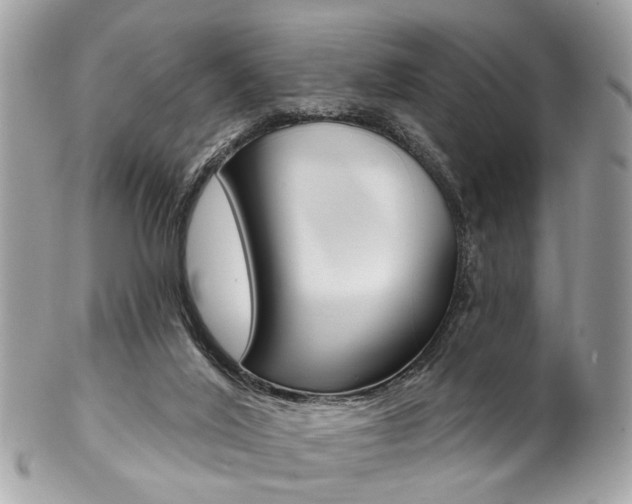 X0000102850020200808181057