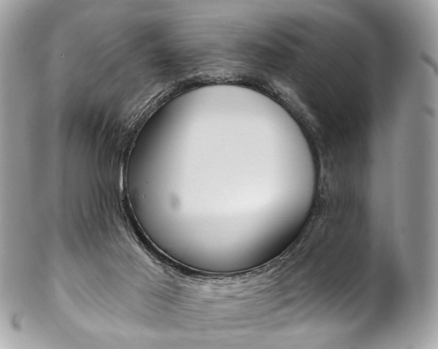 X0000102850021200808181057