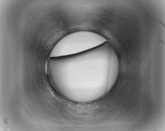 X0000102850022200808181057