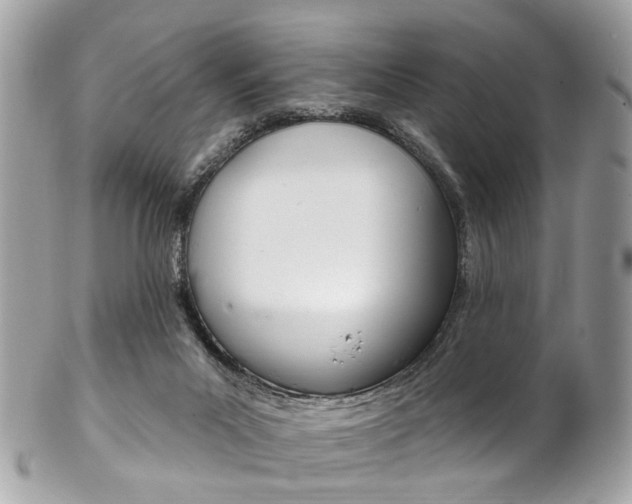 X0000102850023200808181057