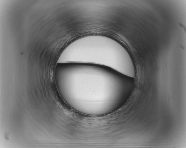 X0000102850025200808181057