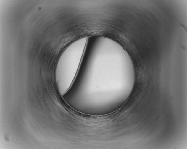 X0000102850028200808181057