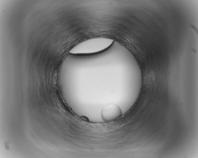 X0000102850030200808181057