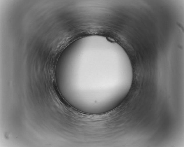 X0000102850031200808181057