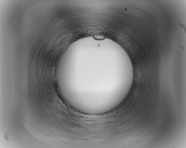 X0000102850034200808181057