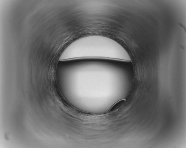 X0000102850036200808181057