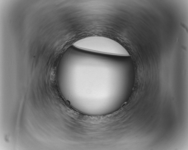 X0000102850037200808181057