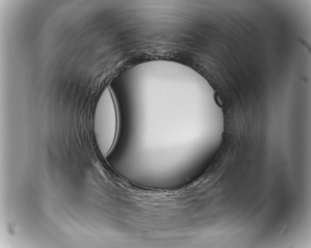 X0000102850040200808181057