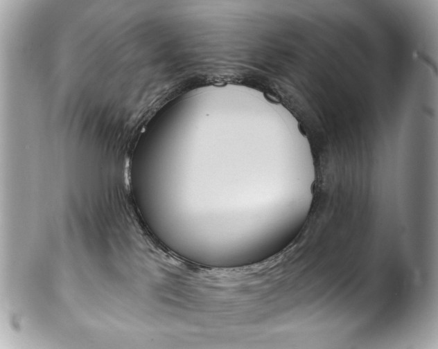 X0000102850041200808181056