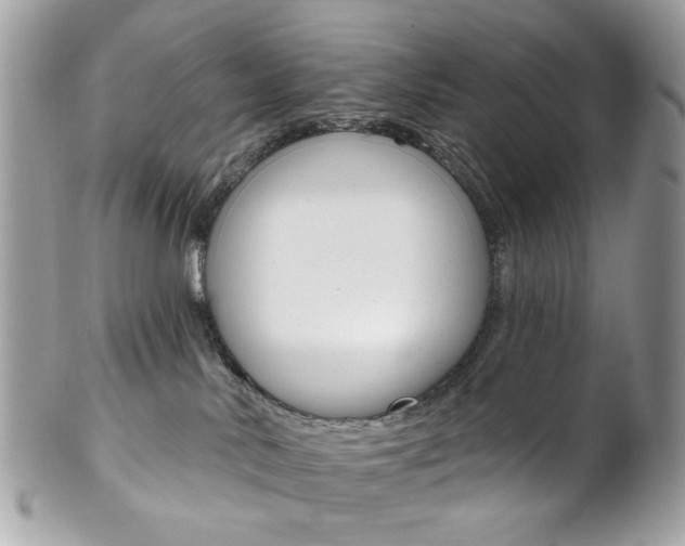 X0000102850042200808181056