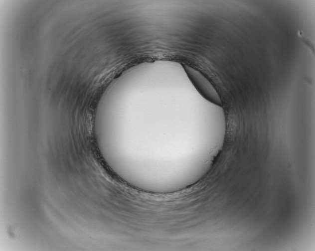 X0000102850043200808181056