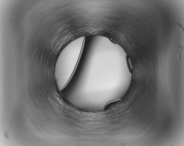 X0000102850044200808181056