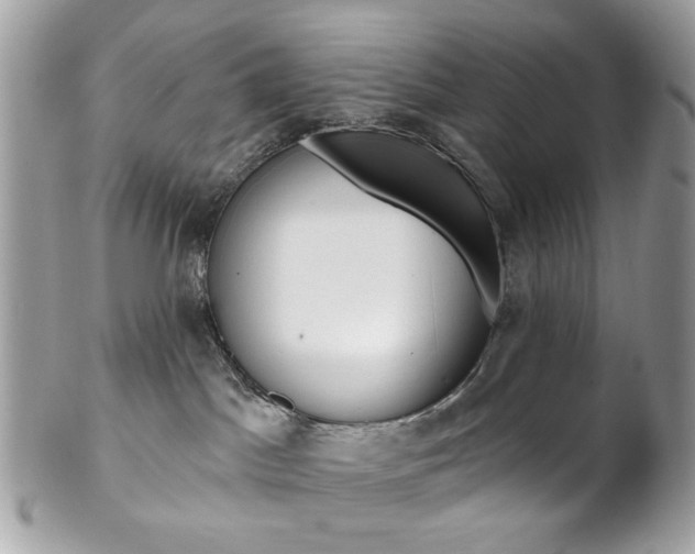 X0000102850045200808181056