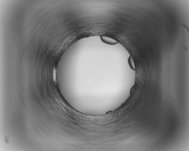X0000102850046200808181056