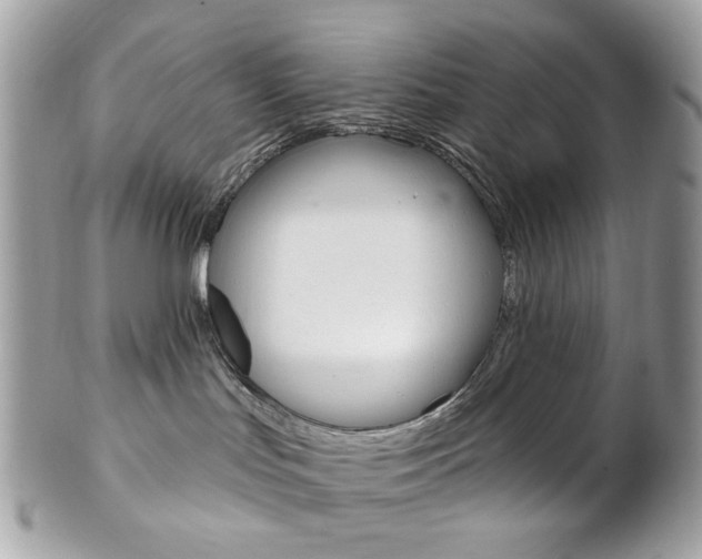 X0000102850047200808181056