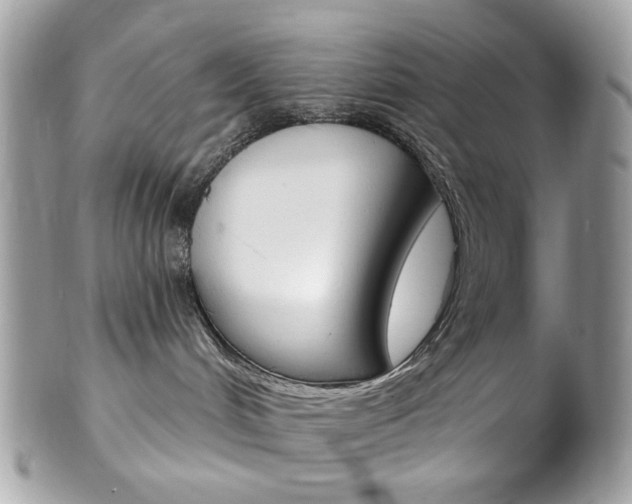 X0000102850048200808181056