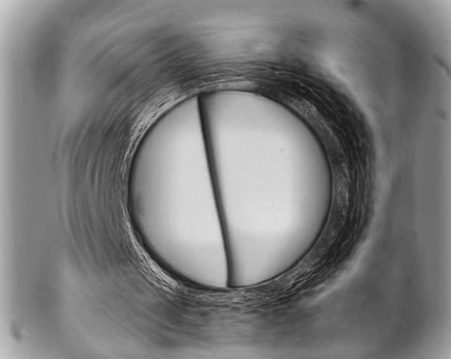 X0000102850049200808181056