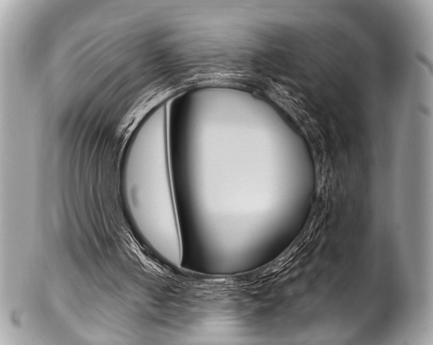 X0000102850050200808181056