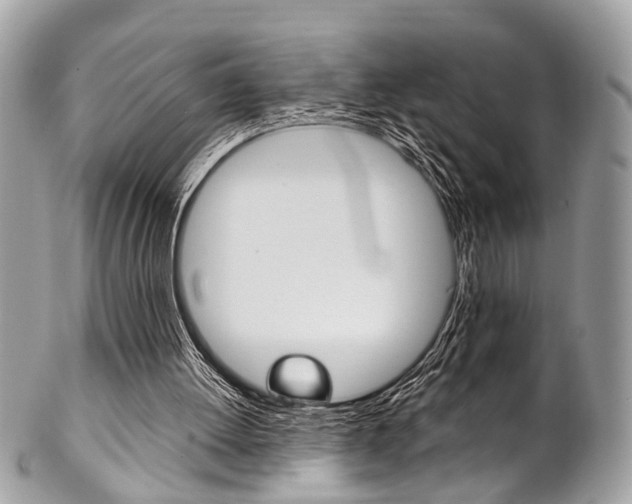 X0000102850052200808181056