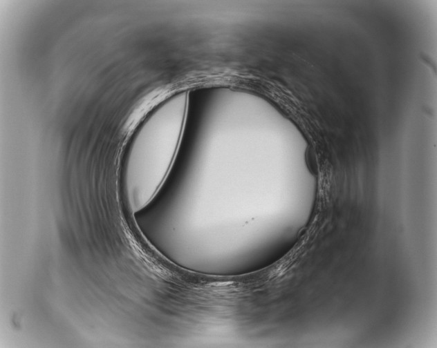 X0000102850054200808181056
