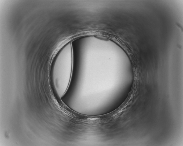 X0000102850055200808181056