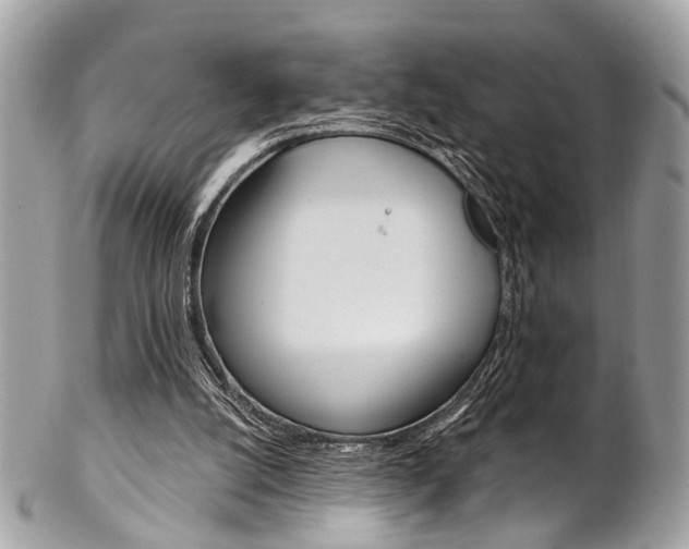 X0000102850056200808181056