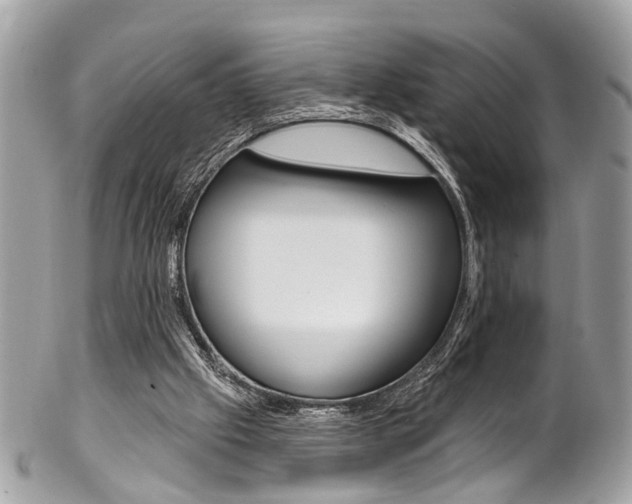 X0000102850057200808181056