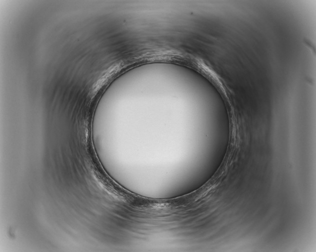 X0000102850059200808181056