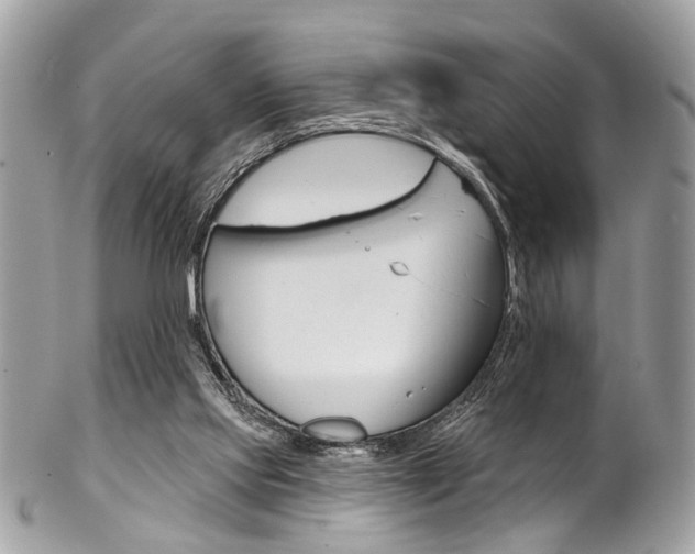 X0000102850061200808181056