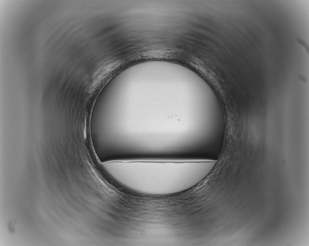 X0000102850062200808181056