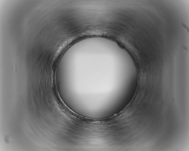 X0000102850064200808181056