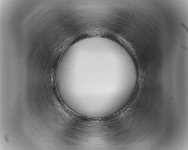 X0000102850065200808181056