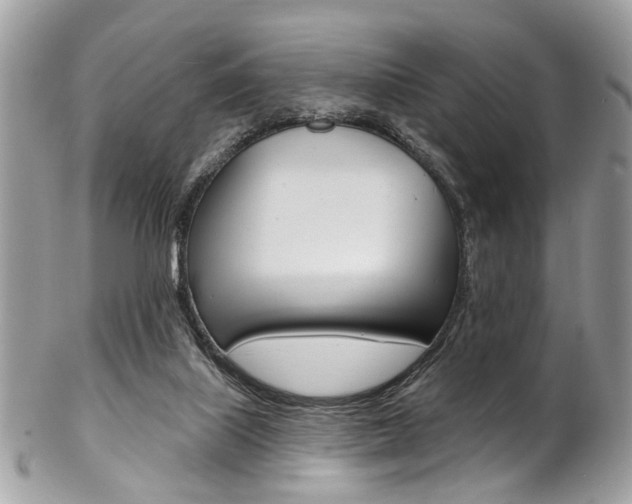 X0000102850067200808181056