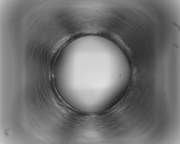 X0000102850068200808181056