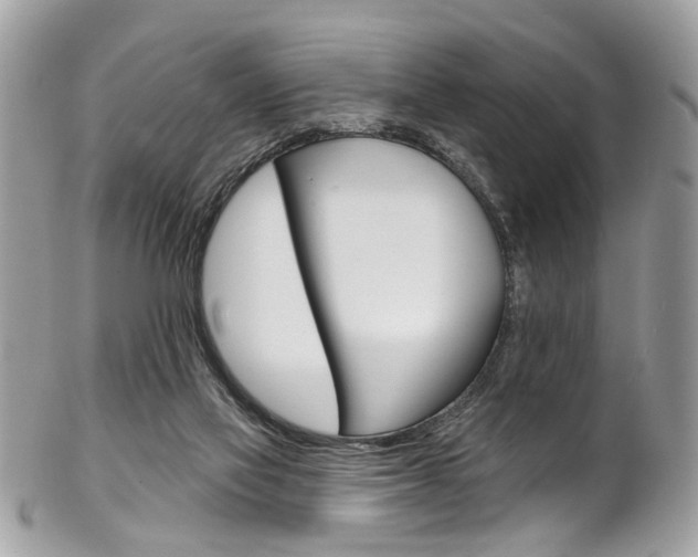 X0000102850069200808181056