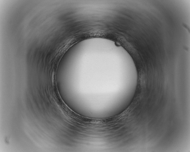 X0000102850070200808181056