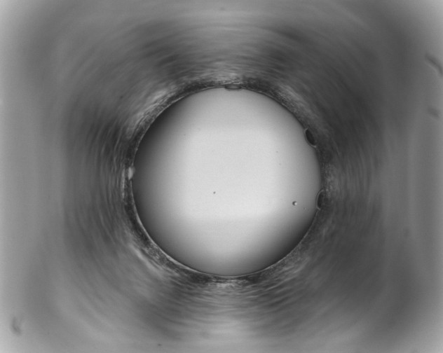 X0000102850072200808181056