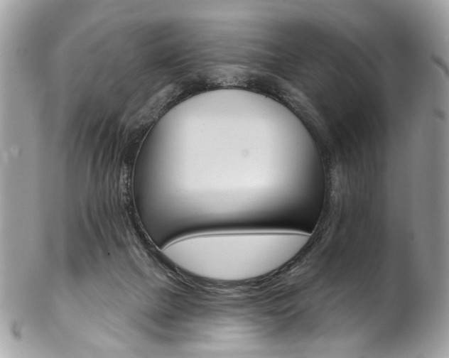 X0000102850073200808181056
