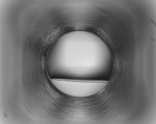 X0000102850074200808181056