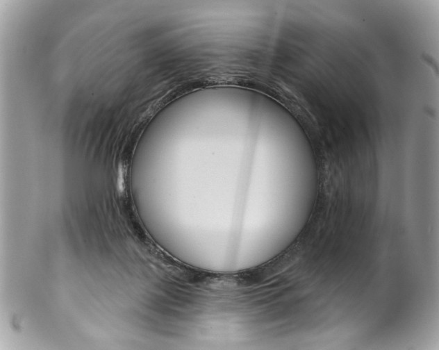 X0000102850075200808181056