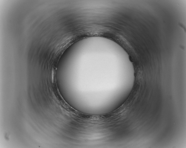X0000102850076200808181056