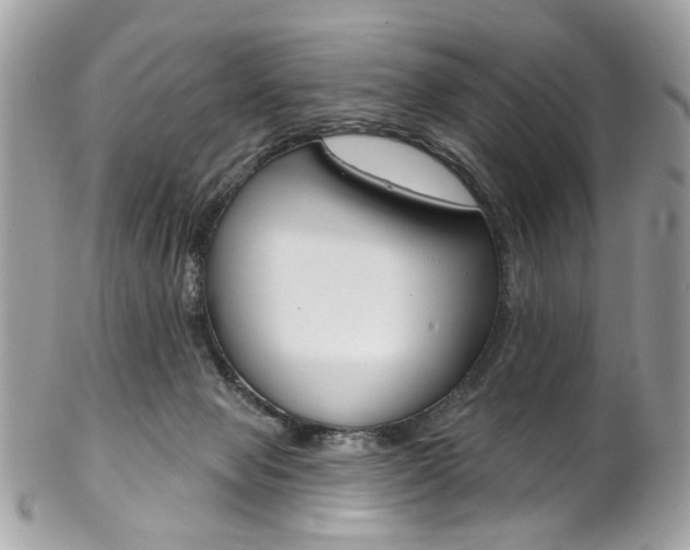 X0000102850077200808181056